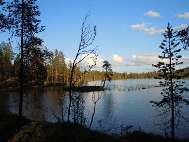 Exclusive fishing in Lapland